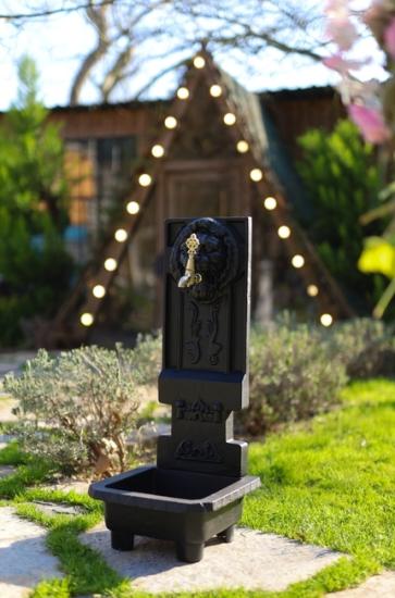 THE LION CASTING FOUNTAIN